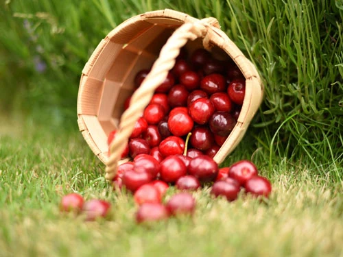 Cherries