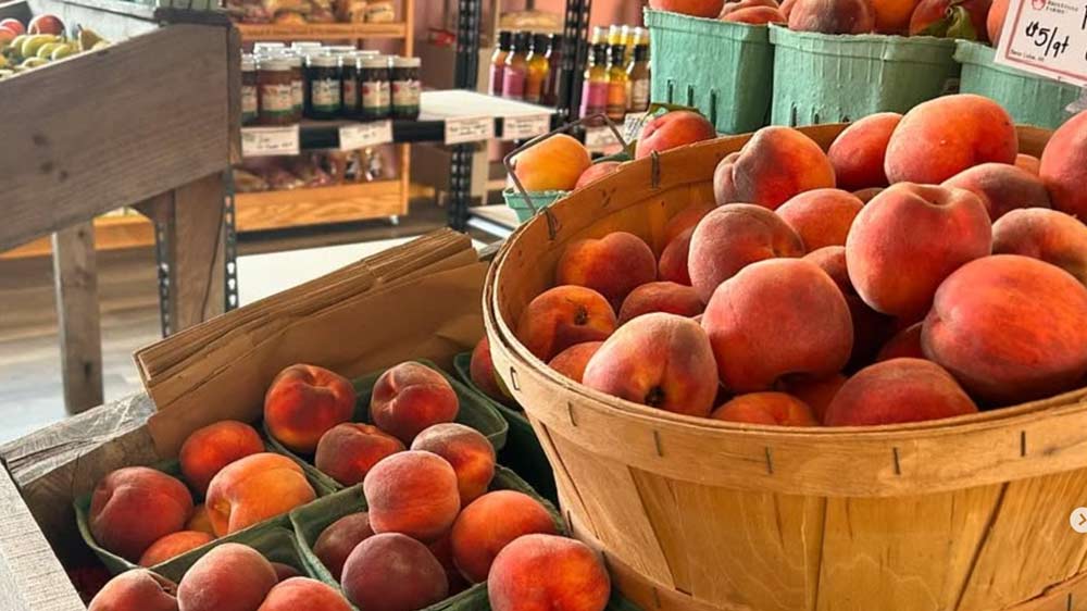 Fresh local fruit