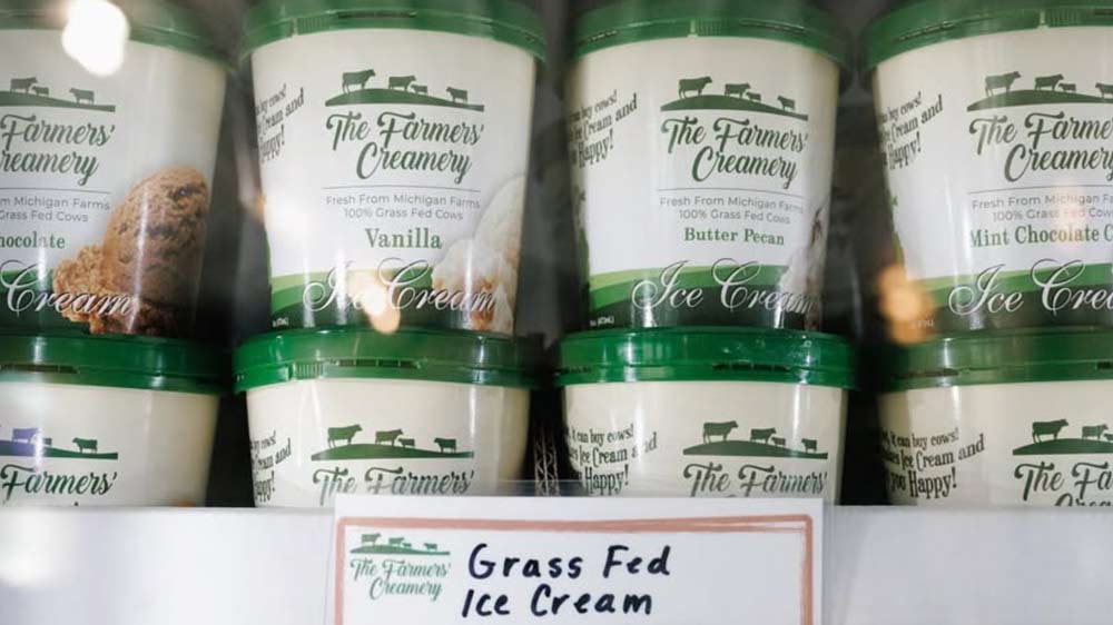 Grass fed ice cream