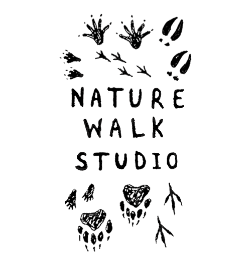 Nature Walk Studio