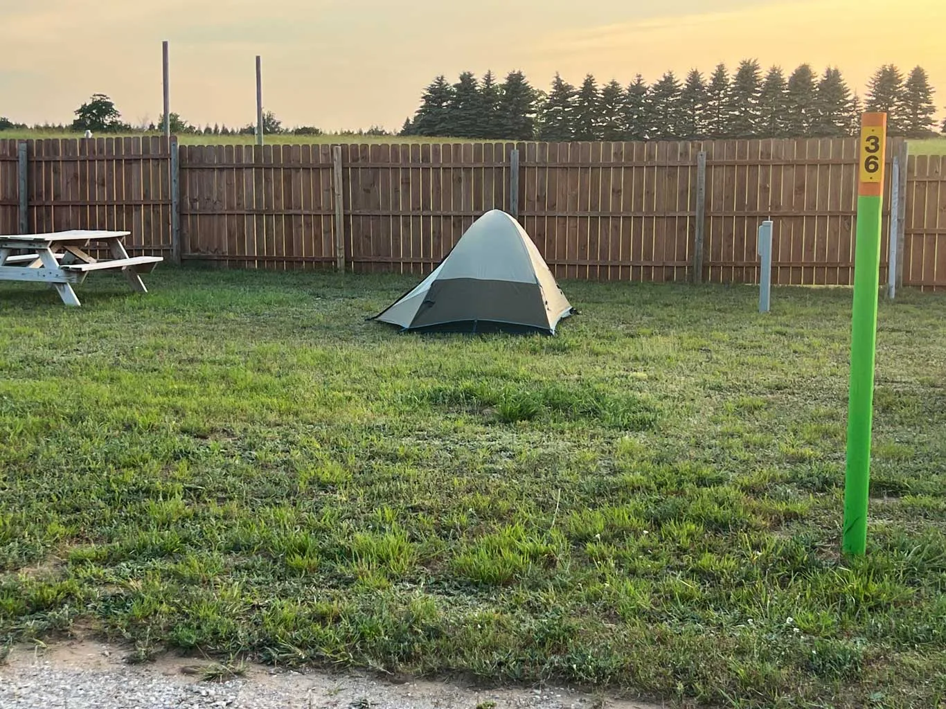 Site 36